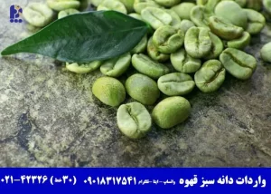 واردات دانه سبز قهوه